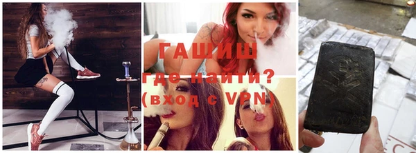 гашик Новозыбков