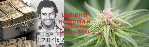 сатива Новокубанск