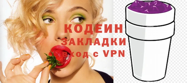 гашик Новозыбков