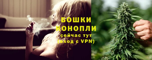 гашик Новозыбков