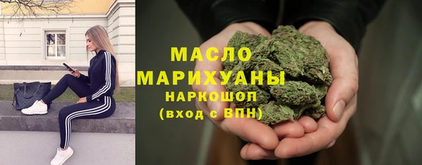 сатива Новокубанск