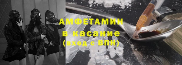 гашик Новозыбков