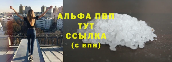 сатива Новокубанск