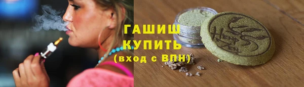 сатива Новокубанск