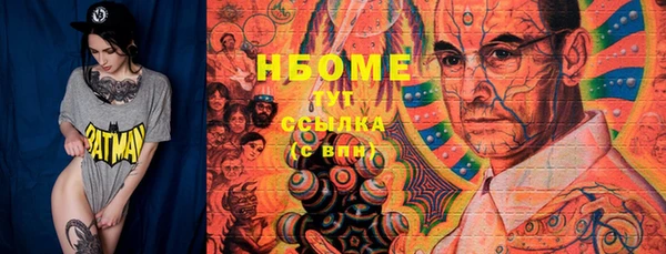 гашик Новозыбков