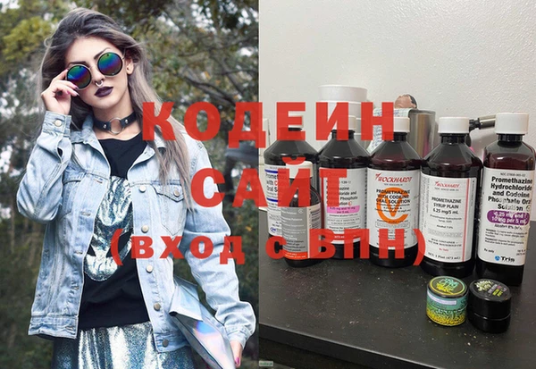 гашик Новозыбков