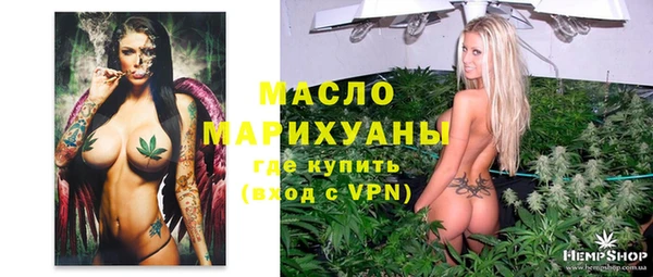 сатива Новокубанск