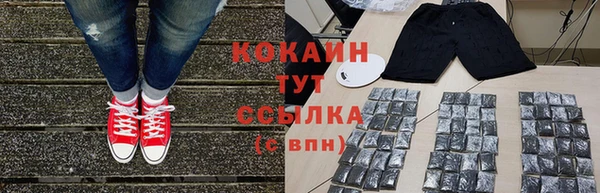 сатива Новокубанск