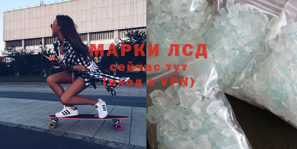 сатива Новокубанск