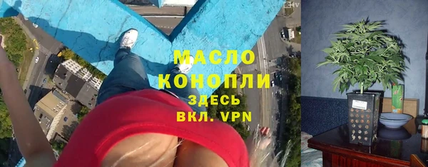 сатива Новокубанск