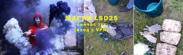 гашик Новозыбков