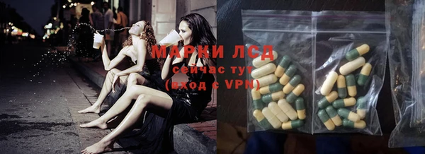 сатива Новокубанск