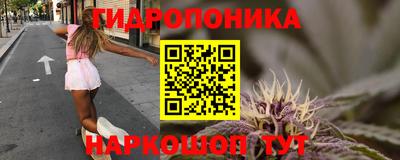 прущий лед Гатчина
