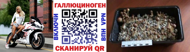 Галлюциногенные грибы прущие грибы  Красноармейск 