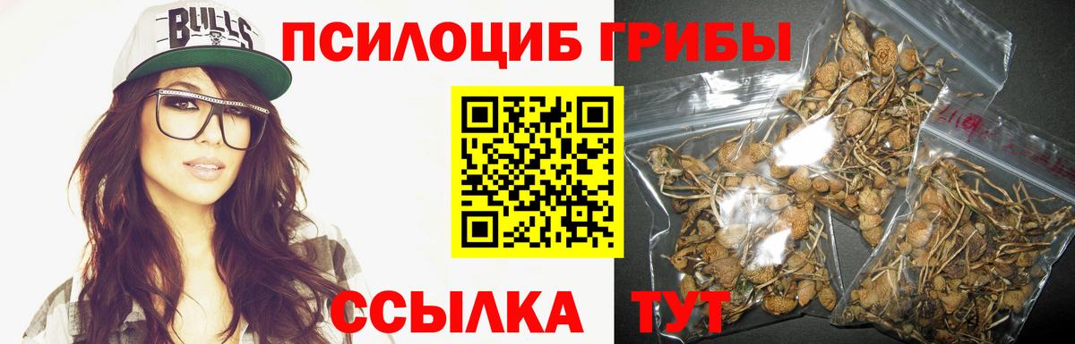 Псилоцибиновые грибы мухоморы  Вход с VPN  Красноармейск 